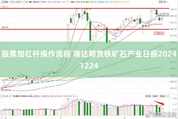 股票加杠杆操作流程 瑞达期货铁矿石产业日报20241224