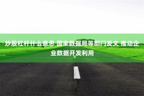 炒股杠杆什么意思 国家数据局等部门发文 推动企业数据开发利用