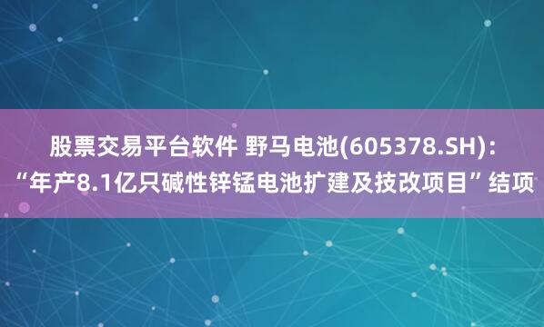 股票交易平台软件 野马电池(605378.SH)：“年产8.1亿只碱性锌锰电池扩建及技改项目”结项