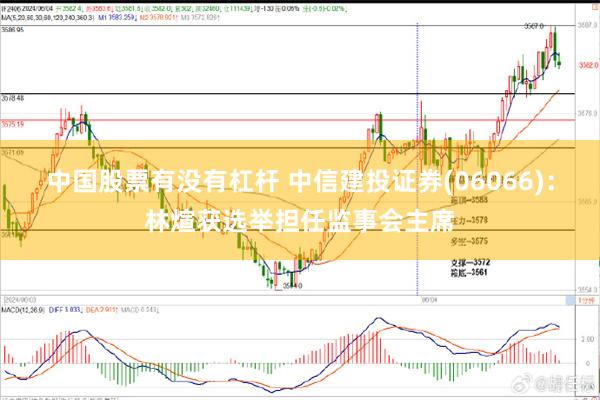 中国股票有没有杠杆 中信建投证券(06066)：林煊获选举担任监事会主席