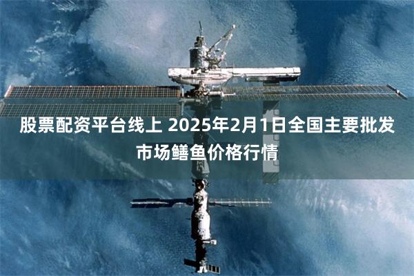 股票配资平台线上 2025年2月1日全国主要批发市场鳝鱼价格行情