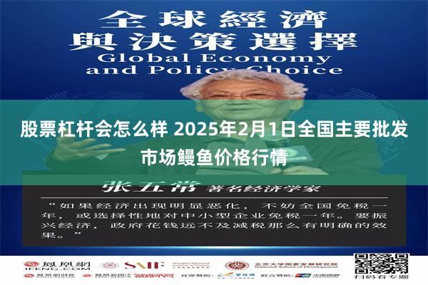 股票杠杆会怎么样 2025年2月1日全国主要批发市场鳗鱼价格行情