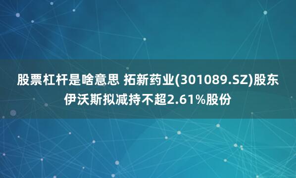 股票杠杆是啥意思 拓新药业(301089.SZ)股东伊沃斯拟减持不超2.61%股份