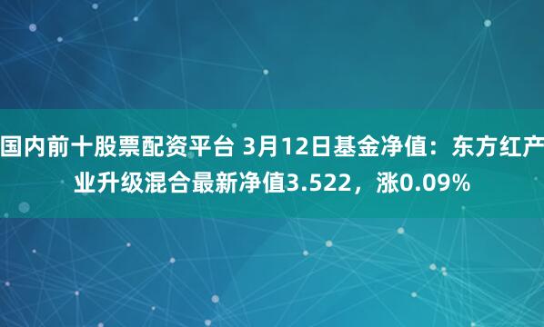 国内前十股票配资平台 3月12日基金净值：东方红产业升级混合最新净值3.522，涨0.09%